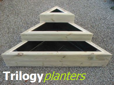 Trilogy Planters
